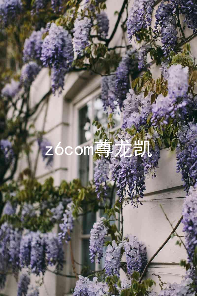 z6com尊龙凯